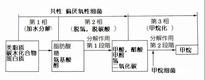 可回收（shōu）再利用的塑料袋：可生物降解（jiě）塑料(圖（tú）3)