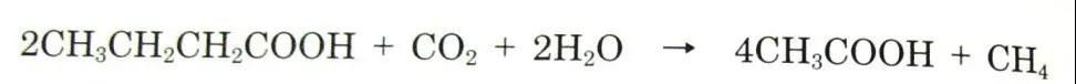 可（kě）回收再利用的塑料袋：可生物降解（jiě）塑料(圖7)