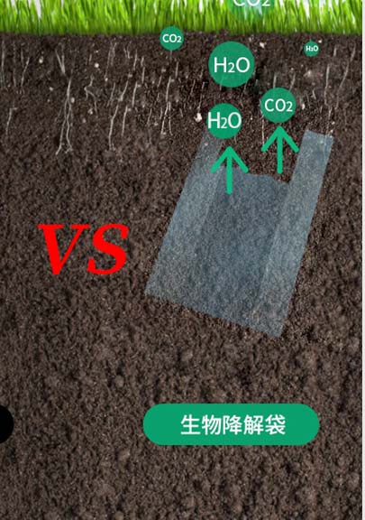 可生物降解材料（liào）是pe塑料材料的“升級版”(圖7)