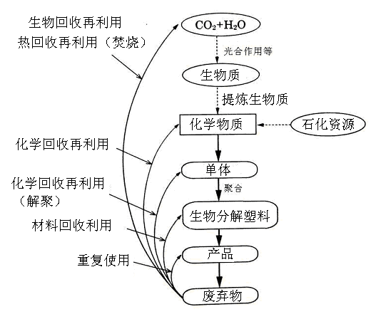 生物分解（jiě）塑料的回收再利用技（jì）術-生物降解環保塑(圖1)
