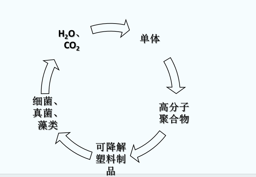 什麽是可（kě）生物降解塑料？(圖1)