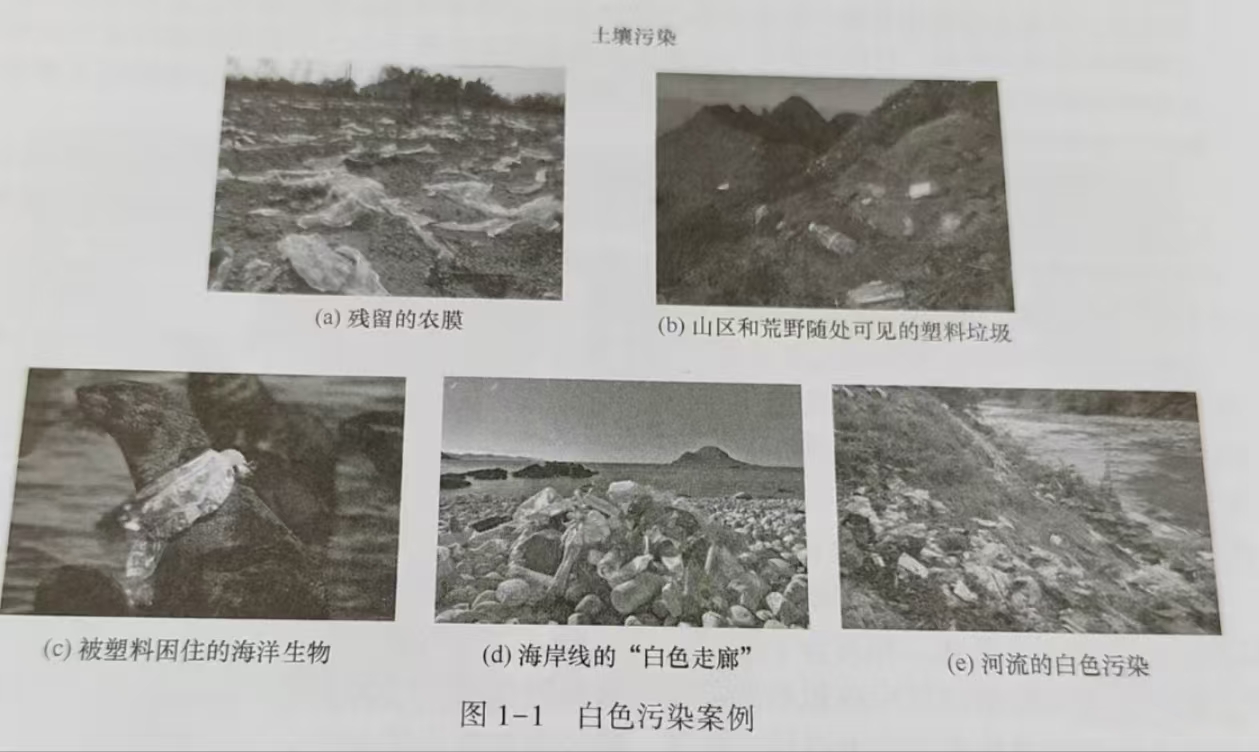 生物降解高分子材(cái)料(圖1)