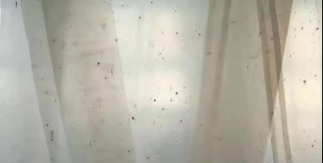 PBAT膜袋有黑點是什麽原因?(圖1)