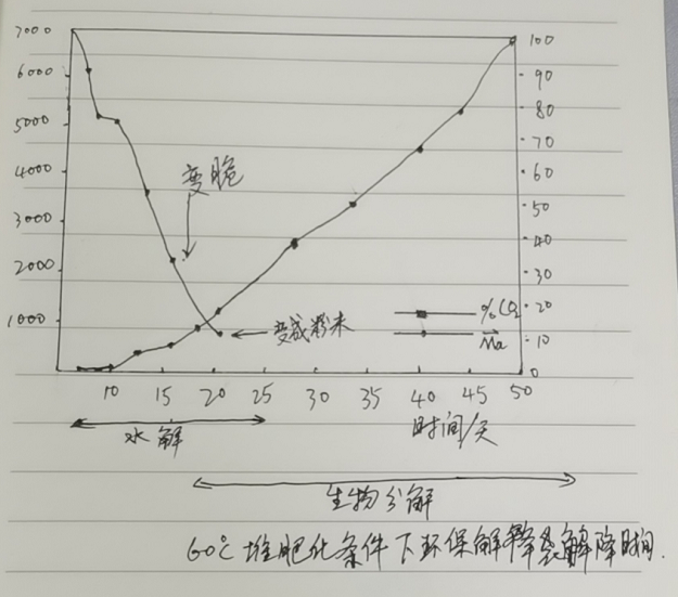 環保降解袋的分（fèn）解原理|降解袋（dài）是怎麽降解的？(圖1)