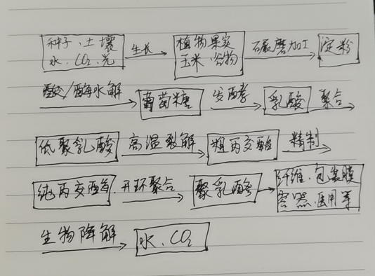 生物降解袋中的PLA是如何製得的?(圖1)
