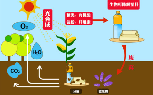 知名廠家（jiā）帶你（nǐ）來看可降解包裝袋的市（shì）場優勢(圖1)
